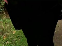 ევროპული ქერა სილამაზის იღებს მისი დიდი დიუმი მის შიგნით